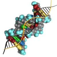 Molecular genetics